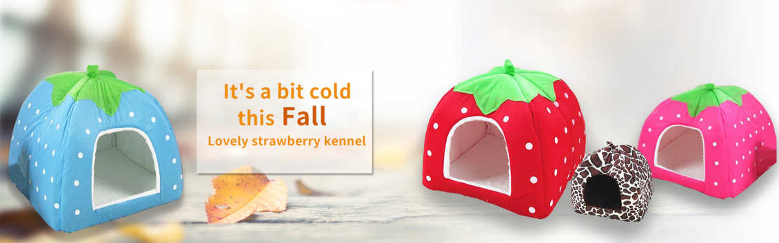 淘宝美工太白宠物可爱小房子作品