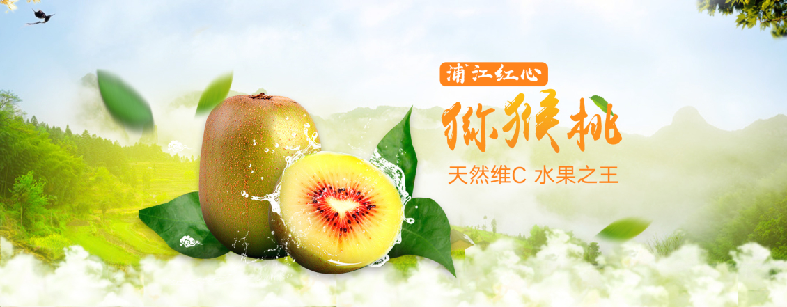 淘宝美工y101960海报 banner 浦江红心猕猴桃作品