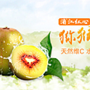 海報(bào) banner 浦江紅心獼猴桃