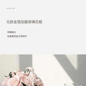 ins風(fēng)花瓶擺設(shè)拍攝物