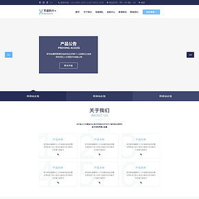 圣德醫(yī)療官方網(wǎng)站高端大氣科技風(fēng)