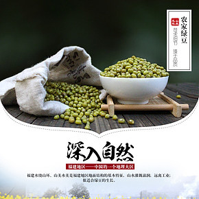 食品保健五谷雜糧綠豆紅豆詳情頁