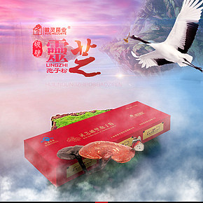破壁靈芝孢子粉