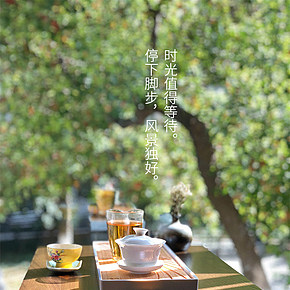 榻榻米簡(jiǎn)約實(shí)木桌幾首頁(yè)