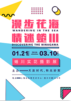 淘寶美工云雨蜷川花活動(dòng)海報(bào)作品