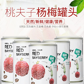 食品保健杨梅水果杨梅罐头详情页