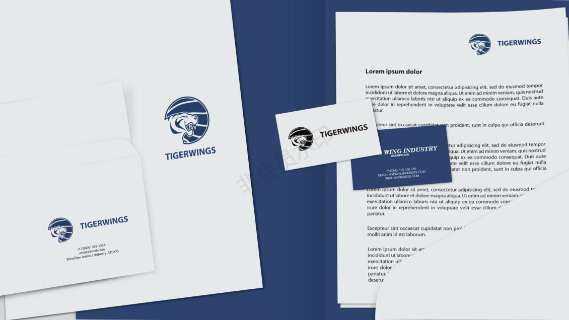 淘宝美工老蔡深圳虎翼工业标志设计及延展作品