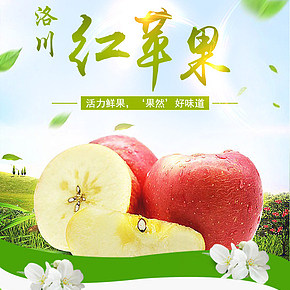 寶雞特產(chǎn)洛川紅蘋果