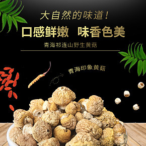 青海祁連山野生黃菇食品保健養(yǎng)生詳情頁