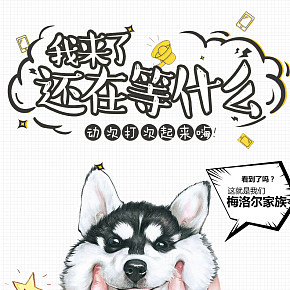 寵物狗詳情頁