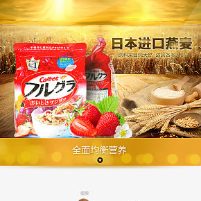 純綠色有機保養(yǎng)食品燕麥片
