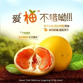 食品  水果    柚子詳情頁(yè)