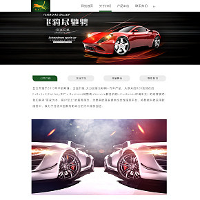 網(wǎng)站設計介紹頁