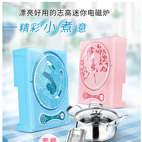 迷你小功率電磁爐小型火鍋學(xué)生宿舍煮飯鍋詳情頁