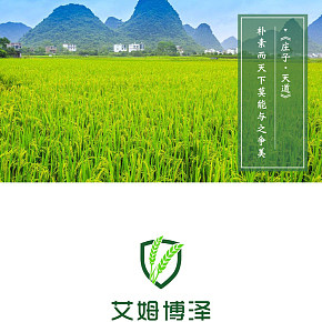 大米 进店前海报