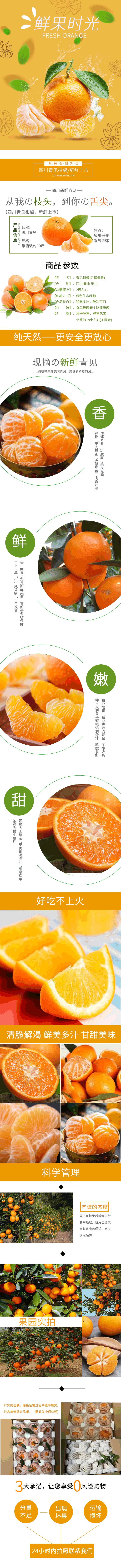 淘寶美工小椅現(xiàn)摘四川眉山新鮮當季水果甜橘子詳情頁作品