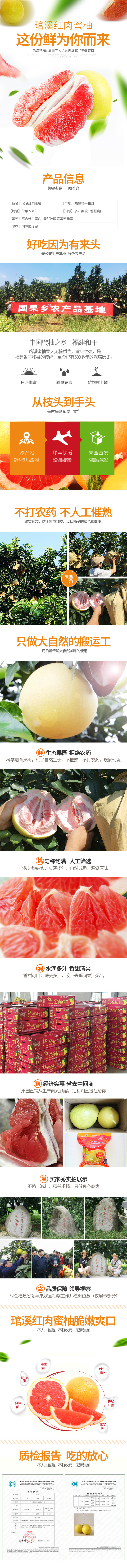 淘寶美工y57083淘寶天貓水果黃桃姚莊黃桃作品