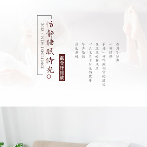 簡(jiǎn)約羽絨被詳情
