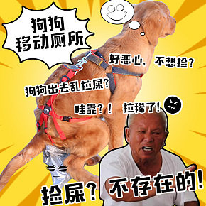 創(chuàng)意狗便袋主圖