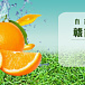 贛南臍橙 秋季嘗鮮