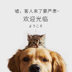 可愛寵物首頁