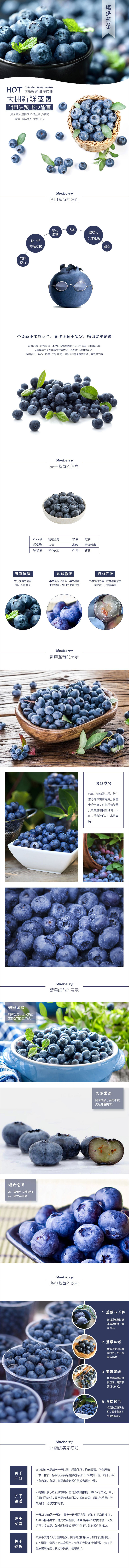 淘宝美工熊本熊shej蓝莓水果详情页作品