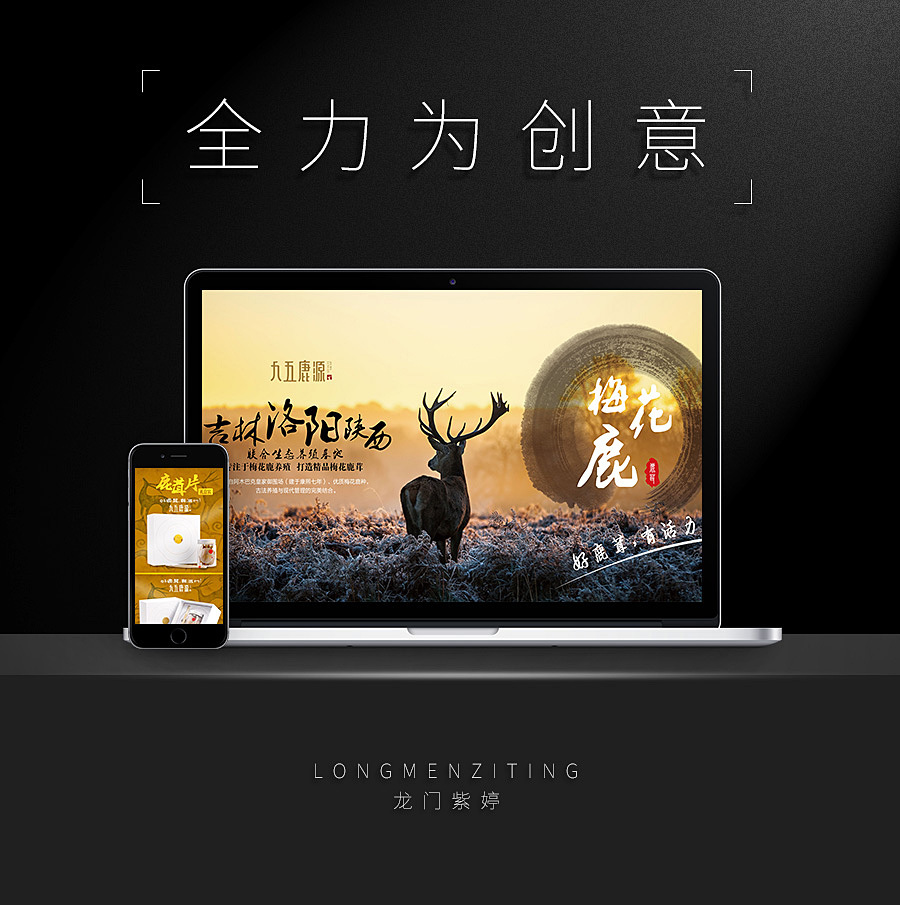 淘宝美工龙门紫婷保健品九五鹿源全案设计作品