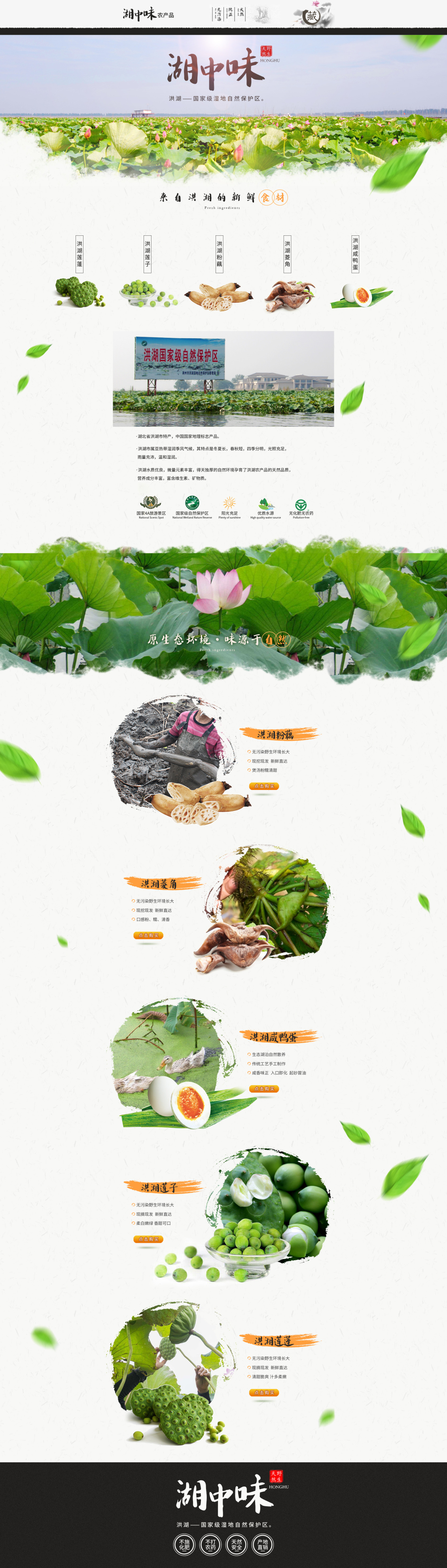 淘宝美工瑞凤澎湖农产品首页作品