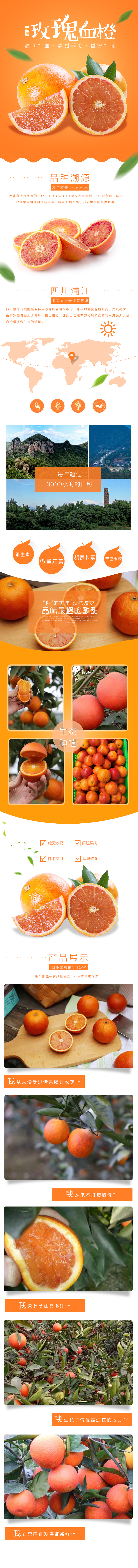 淘宝美工像素怪兽水果橙子详情页作品