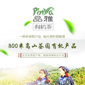 品雅有機茶詳情