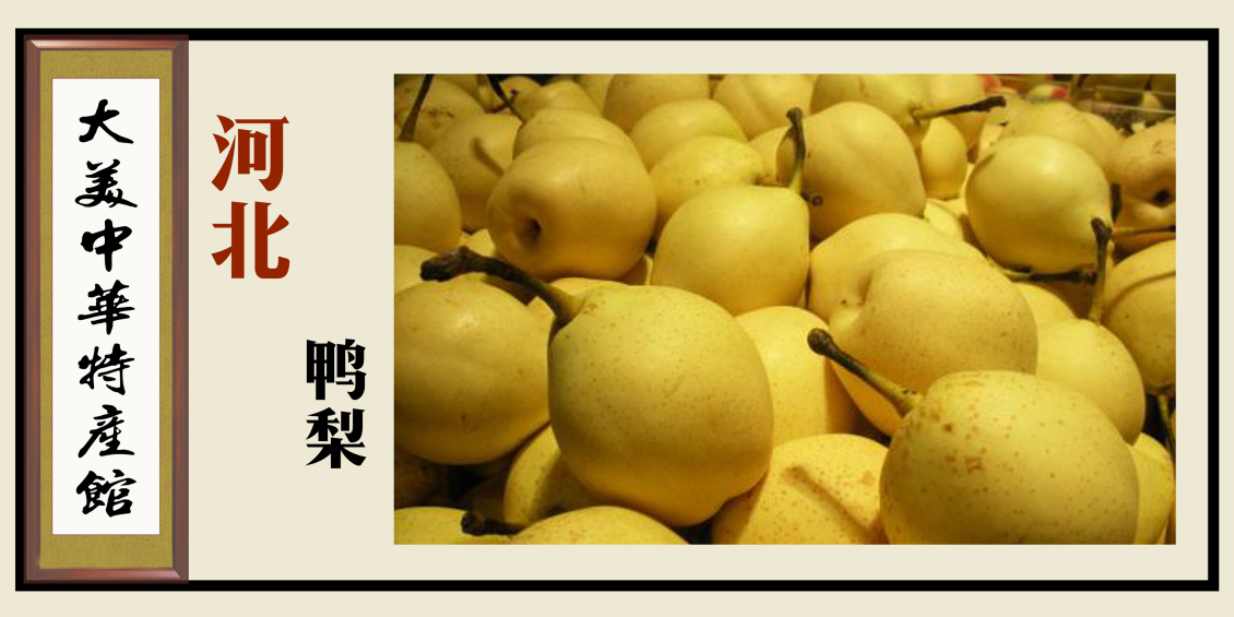 淘宝美工浅淡的风特产展示牌三作品