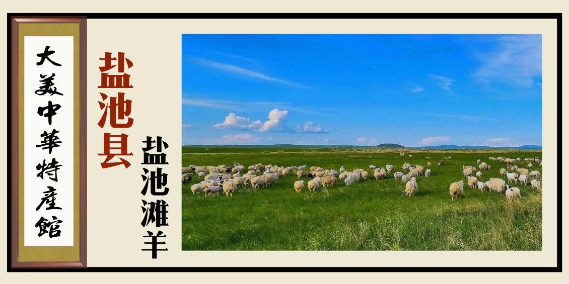 淘宝美工浅淡的风特产展示牌三作品