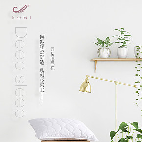 云朵鵝毛枕枕芯
