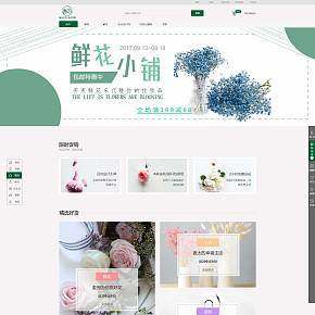 电商网页制作小清新田园风格
