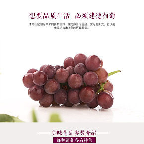 建德美味葡萄