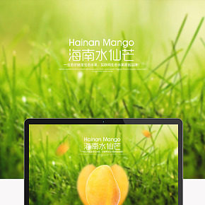 海南水仙芒详情页