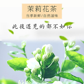 茉莉花茶花草茶茉莉详情页
