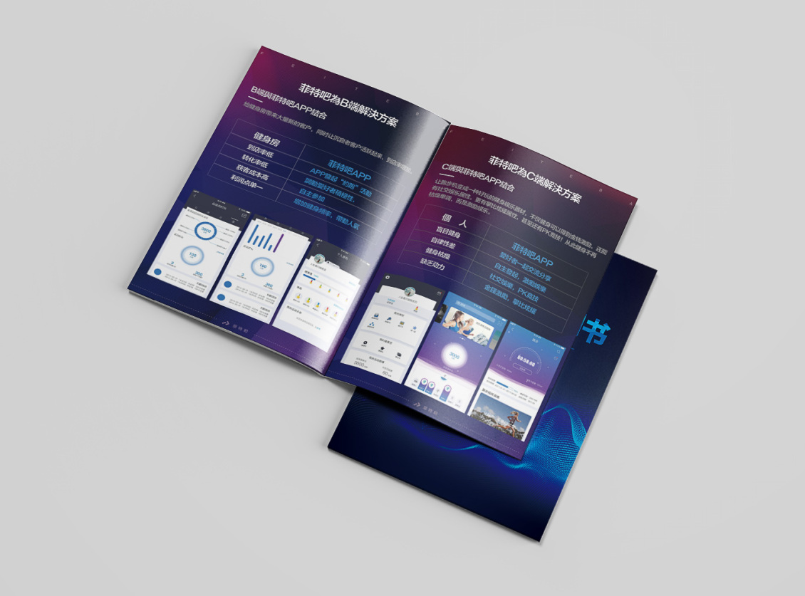 淘宝美工一洲菲特吧商业融资计划书作品