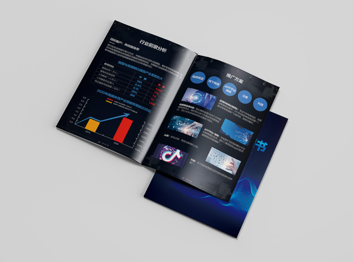 淘宝美工一洲菲特吧商业融资计划书作品