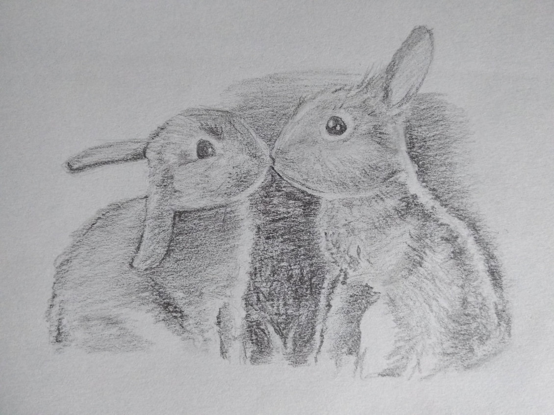 淘宝美工陈庚华手绘铅笔作品作品