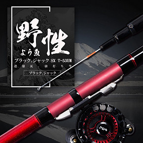 日本戶外進(jìn)口魚(yú)竿釣魚(yú)詳情頁(yè)