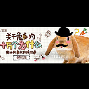 卡通焦點(diǎn)引流banner