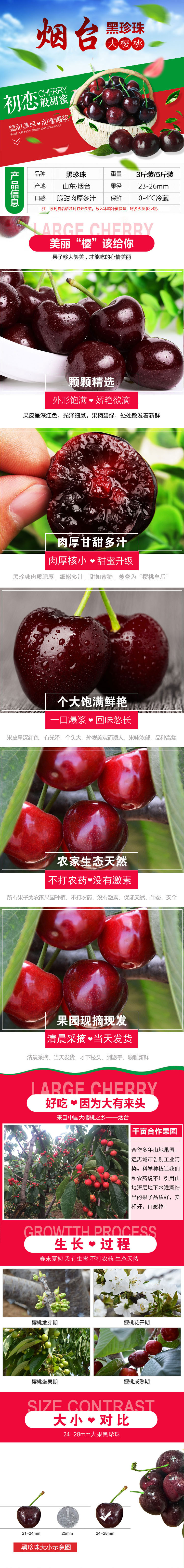 淘宝美工y109609《烟台黑珍珠大樱桃》作品