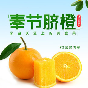 《奉節(jié)臍橙》產(chǎn)品詳情