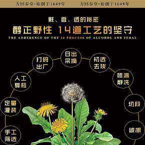 蒲公英根茶詳情頁(yè)