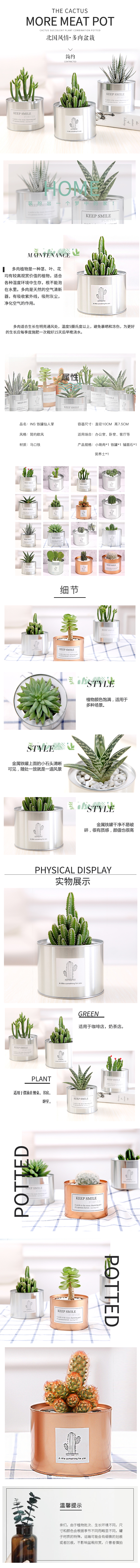 淘寶美工竹子醬家居裝飾多肉植物盆栽詳情頁作品