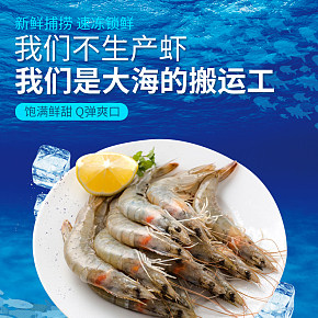厄瓜多爾凍南美白蝦海鮮水產(chǎn)進口蝦生鮮
