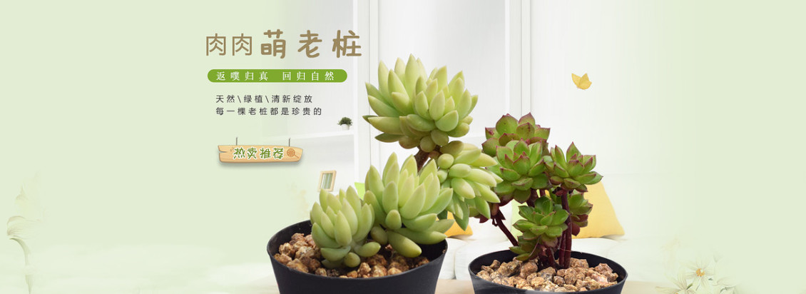 淘寶美工南嶼綠色盆栽海報小清新作品