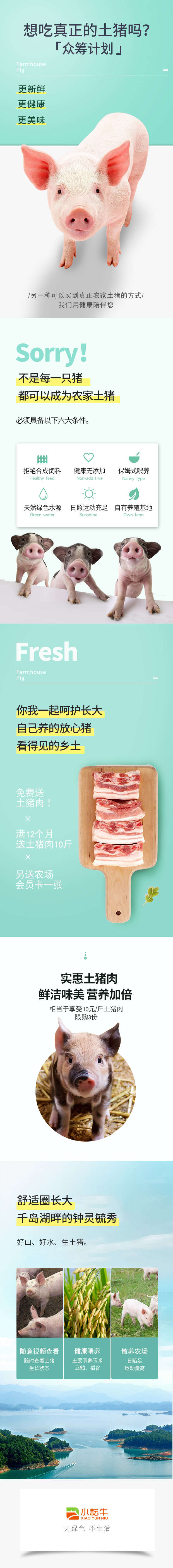 淘宝美工小会子鲜蔬猪肉农产品作品