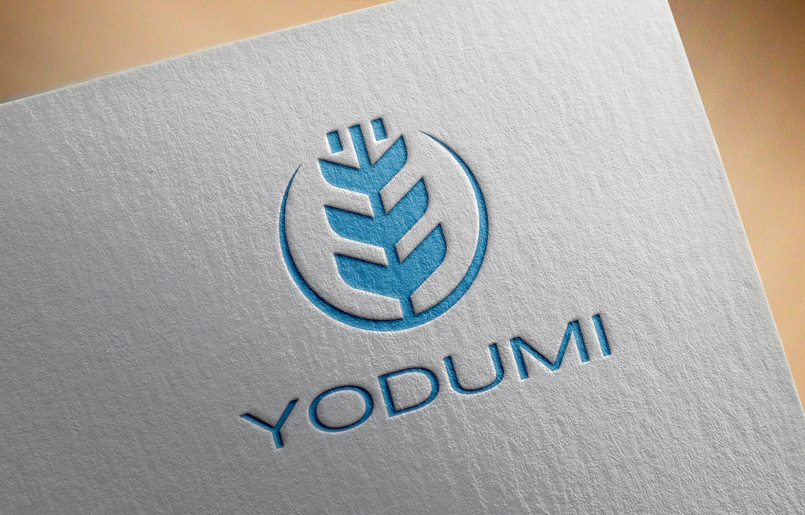 淘寶美工琳瑯杭州搖多米公司LOGO作品